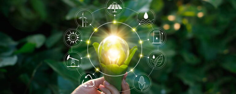 Écoconception web : comment concevoir des produits efficaces en évitant les pièges du greenwashing ?