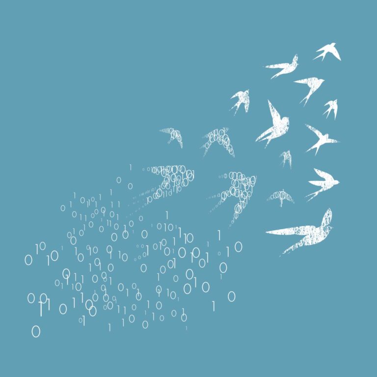 Data Migration : Processus, stratégies et exemples pour réussir sa migration de données