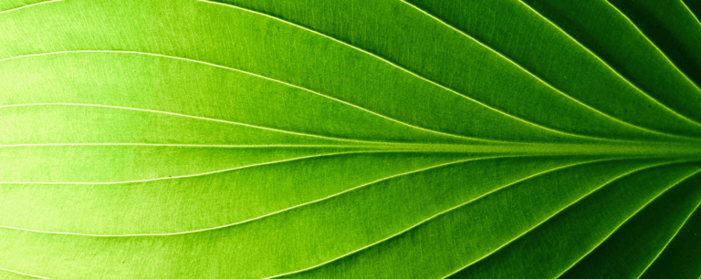 Migration de Systèmes Legacy : la méthode la plus sûre pour moderniser sans interrompre l’activité