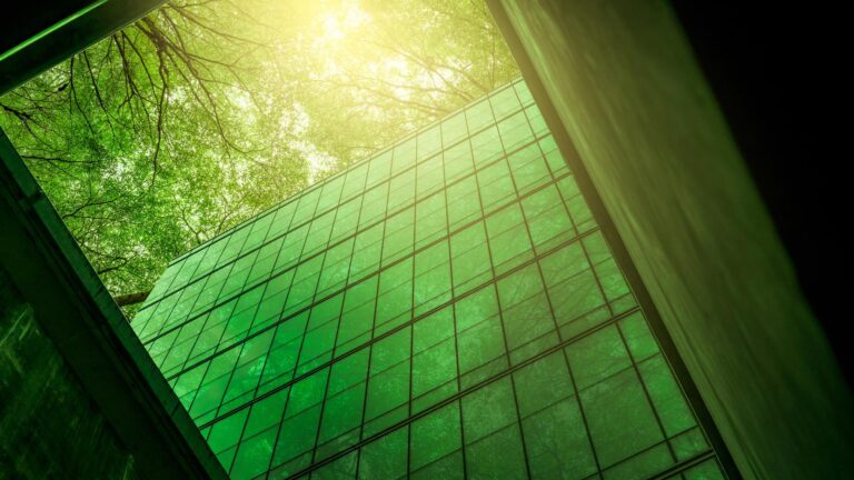 Applications Web-Based vs Cloud-Based : ce que l’IA change vraiment pour les PME