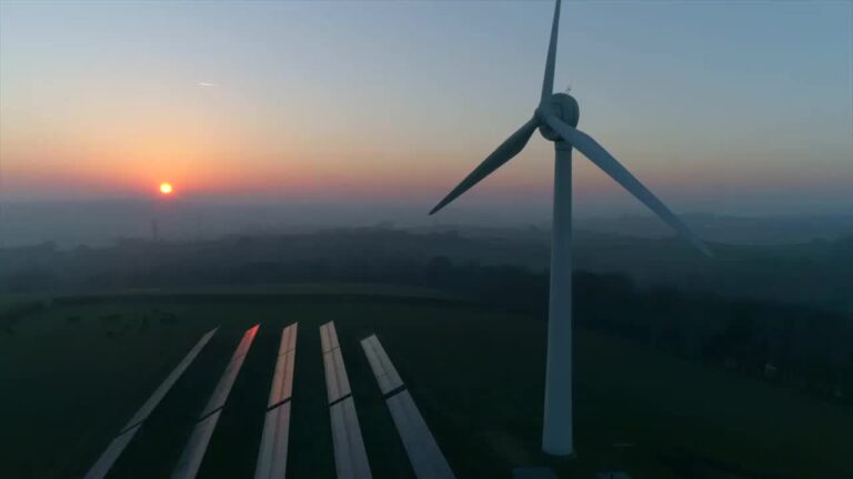 Color Contrast and WCAG Accessibility: Choosing the Right Tools and Integrating Effective Controls in Your Digital Products